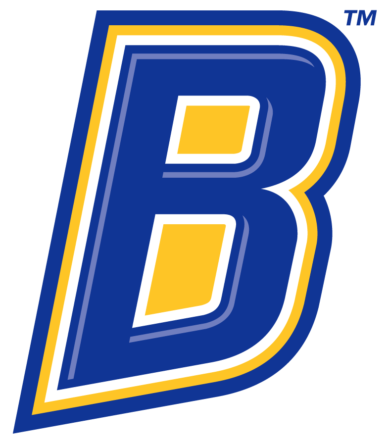 CSU Bakersfield Roadrunners 2019-Pres Secondary Logo diy DTF decal sticker